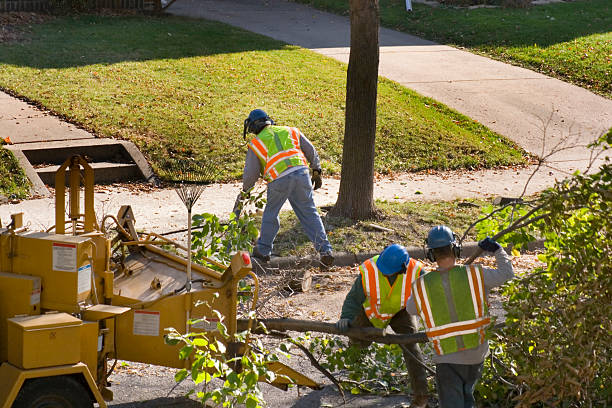 Best Landscape Design and Installation  in Oriole Beach, FL